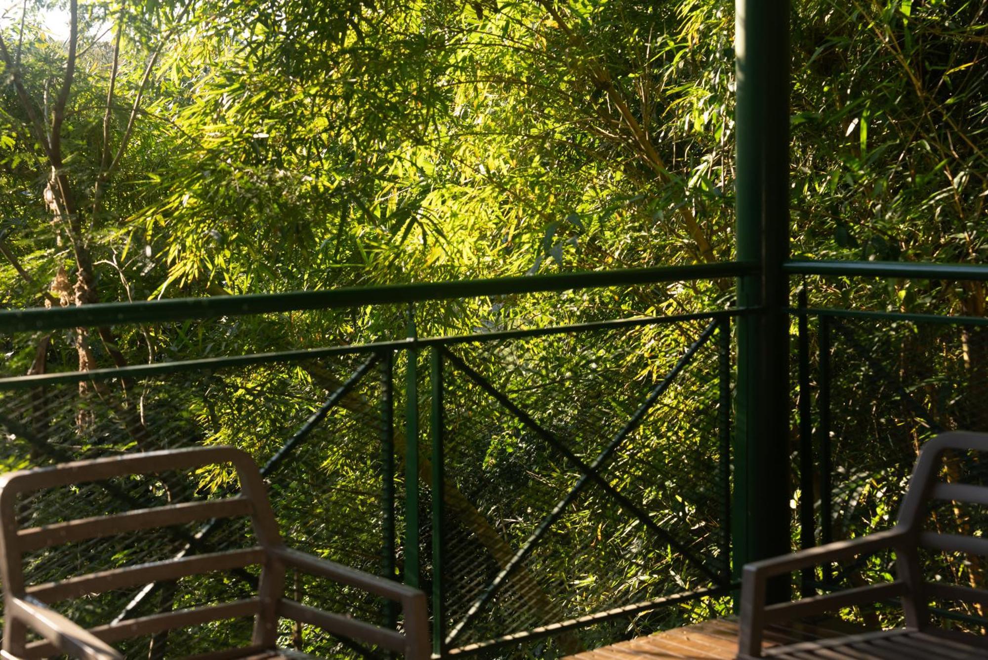 Iguazu Jungle Lodge Puerto Iguazú Eksteriør bilde